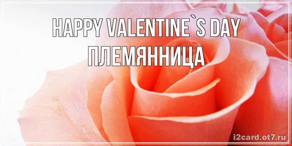 Greetings card с именем, Племянница Happy Valentine`s Day открытка на день Святого Валентина с розовой розой Greetings with text for free download 
